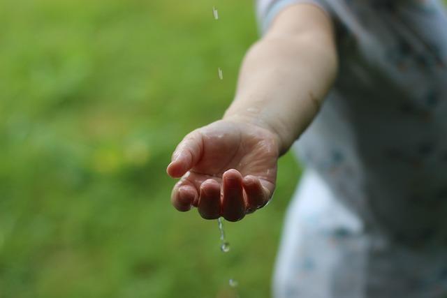 Recommendations for Sustainable Water Use and Agricultural Practices