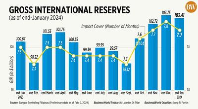 The Role of Gross International Reserves in Attracting Foreign Investment