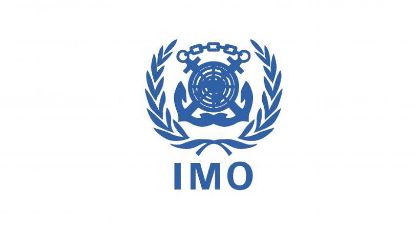 The Role of International Maritime Organizations in Crisis Response