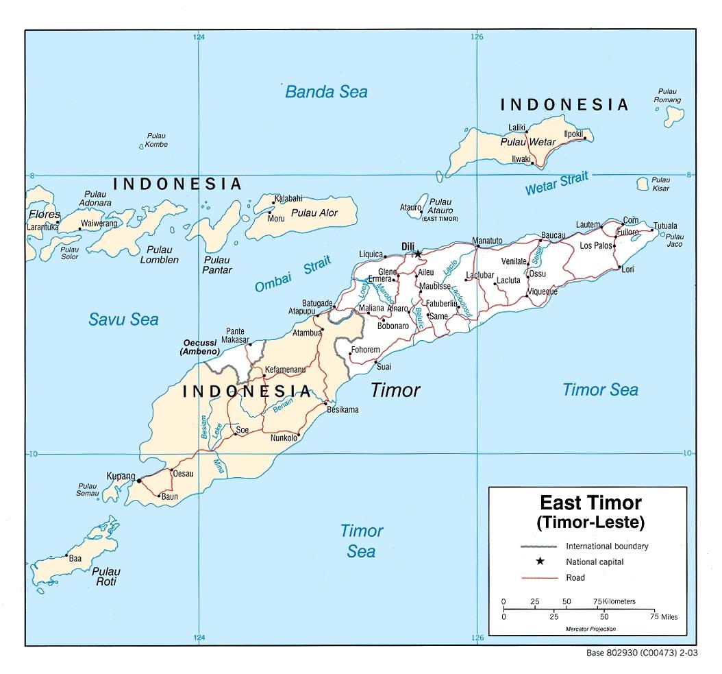 Timor-Leste joins the Asia Power Index - The Interpreter