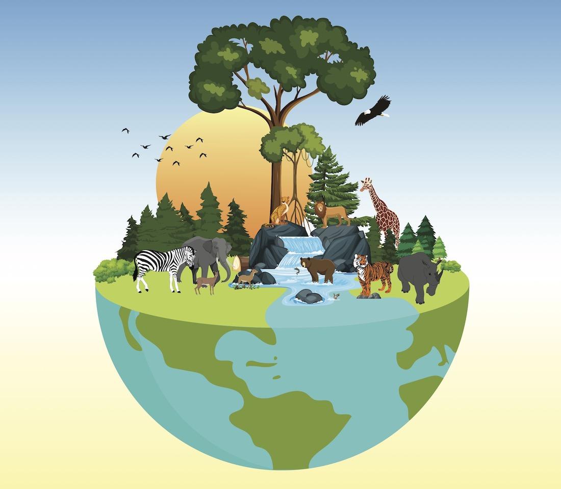 Impact on Biodiversity: Understanding Consequences Affecting Cambodian Ecosystems