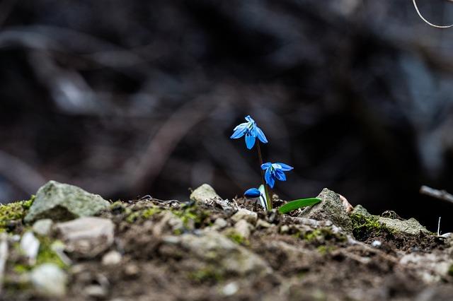 Economic Growth and Sustainability: The Long-Term Benefits of Collaboration