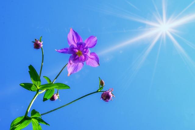 Strategic Policy Options for Growth Enhancement