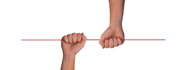 Moving Forward: Actionable insights from the Meeting for Enhanced Partnerships