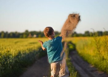 Freedom in the World 2025: Armenia rated as ‘partly free’ country – en.armradio.am