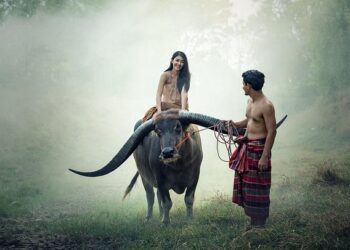 Cambodia: Witnessing cultural wonders and historic horrors – Times Colonist