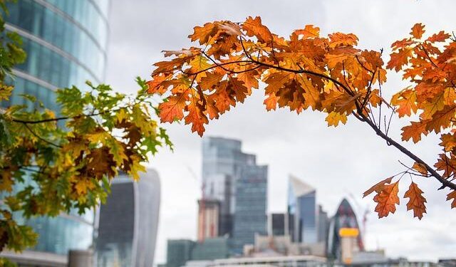 Queen Mary University of London expands partnerships across Southeast Asia – QMUL