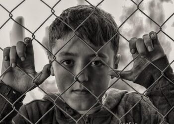 Poverty rate in Iraq declines to 17.5% – Iraqi News