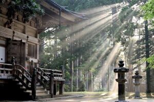 Co-Pros, Sales, Formats: ‘Japan Is Now the Cool Place You Want to Be’ – The Ankler.