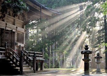 Co-Pros, Sales, Formats: ‘Japan Is Now the Cool Place You Want to Be’ – The Ankler.