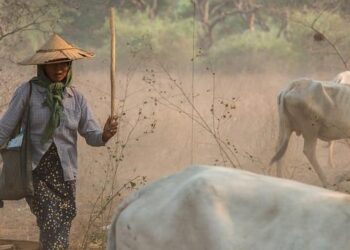 Myanmar: Four years after coup, world must demand accountability for atrocity crimes – Amnesty International