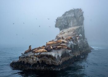 Stress and fear roil a tiny, rapidly militarizing Japanese island near Taiwan – The Associated Press