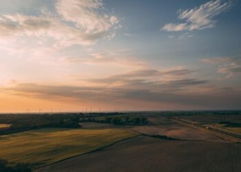 Partnership formed to improve egg sustainability in Japan – Feedstuffs