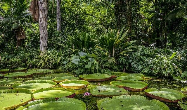Thailand’s PTT OR allocates $220m to scale Café Amazon footprint – World Coffee Portal