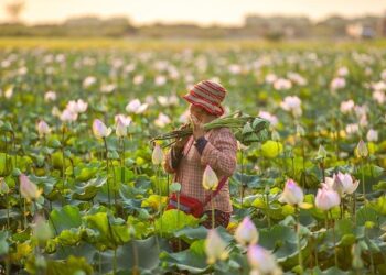 ​CDC share Cambodia’s efforts to enhance business environment​ – The Phnom Penh Post