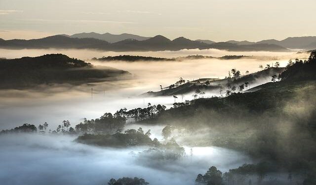 Vietnam to become major economic hub in Southeast Asia: PM – VnExpress International