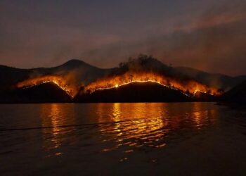 Over 150 wildfires reported in Georgia over the weekend – WALB