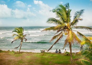 Once a free-market pioneer, Sri Lanka takes a leap to the left – The Economist