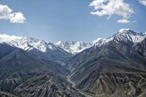 Afghanistan: A Call to Global Conscience on International Women’s Day – Amnesty International USA