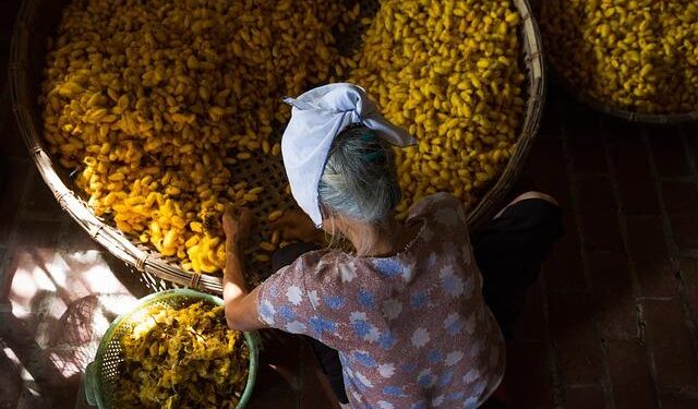 Podcast | From silk road to skyscrapers: Charting the investment landscape between Asia-Pacific and the United Arab Emirates – Economist Impact
