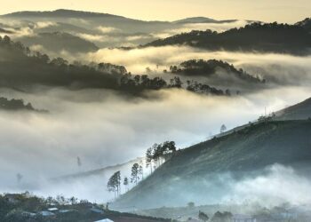Asia – A tale of two worlds in the Dhofar Mountains – BBC