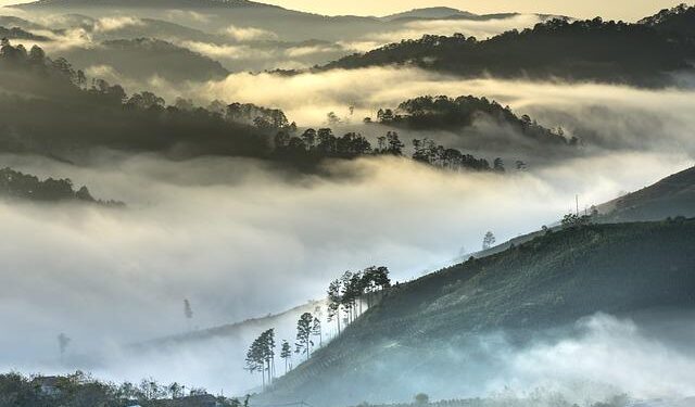 Asia – A tale of two worlds in the Dhofar Mountains – BBC