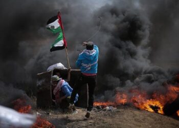 Gaza supporters celebrate Korea-Palestine football match with chants of freedom – 코리아타임스