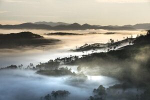 Vietnam: Investing in Science, Tech and Digital Transformation – OpenGov Asia