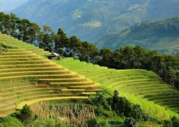 PPM priorities and challenges for finance in Asia in 2025 – FutureCFO