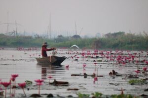 Southeast Asia quarterly economic review: Steady amid uncertainty – McKinsey