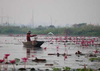 Southeast Asia quarterly economic review: Steady amid uncertainty – McKinsey