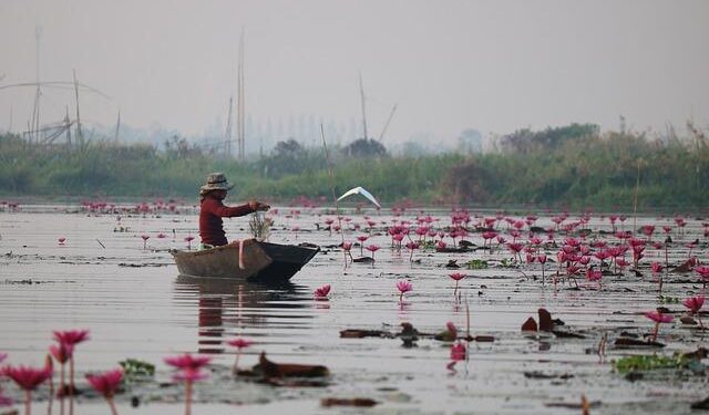 Southeast Asia quarterly economic review: Steady amid uncertainty – McKinsey