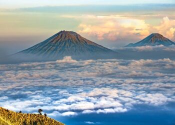 Indonesia’s Green Initiative: Sustainable Transportation through Electric Vehicle Manufacturing – Lexology