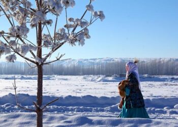 Kazakh Officials Propose Tax Incentives and Funding to Strengthen Creative Industry – Astana Times