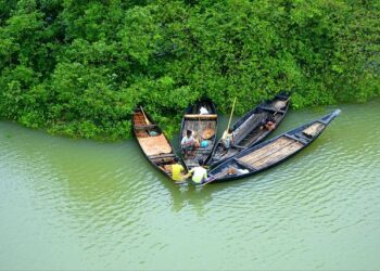 Bangladesh rebukes US spy chief over religious violence remarks – DAWN.com