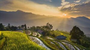 Vietnam ranks second in Southeast Asia in happiness index – http://en.vietnamplus.vn/