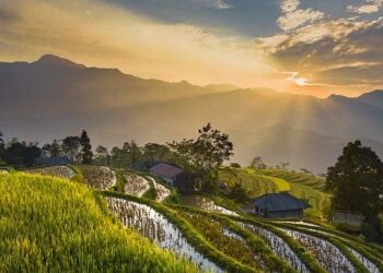 Vietnam ranks second in Southeast Asia in happiness index – http://en.vietnamplus.vn/