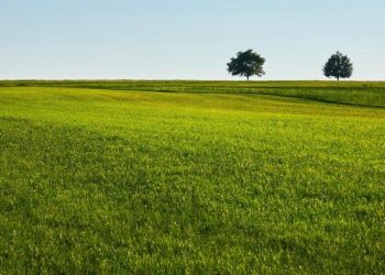 World’s happiest countries revealed: Know where India stands – The Times of India