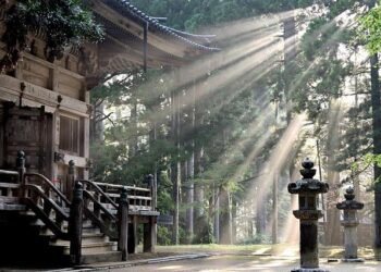 Bank of Japan holds rates and warns of trade uncertainty – NBC Right Now