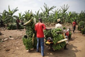 The Asia Trade 3/21/2025 – Bloomberg