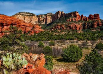 Building Partnership between Arizona and Kazakhstan – Arizona State University (ASU)