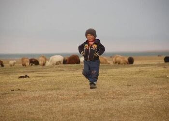 Kyrgyzstan doubles export of butter to Kazakhstan in January – AKIpress