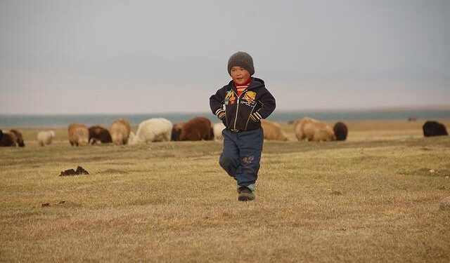 Kyrgyzstan doubles export of butter to Kazakhstan in January – AKIpress