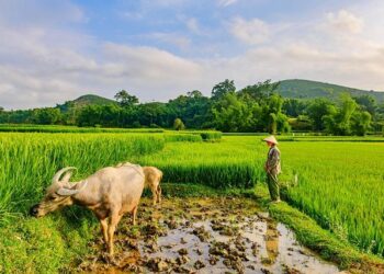 Laos, Mongolia ink audit cooperation agreements – asianews.network