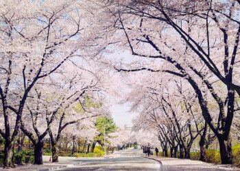 ASIA/SOUTH KOREA – Thirty years of commitment, prayer and hope for reconciliation and peace – Agenzia Fides