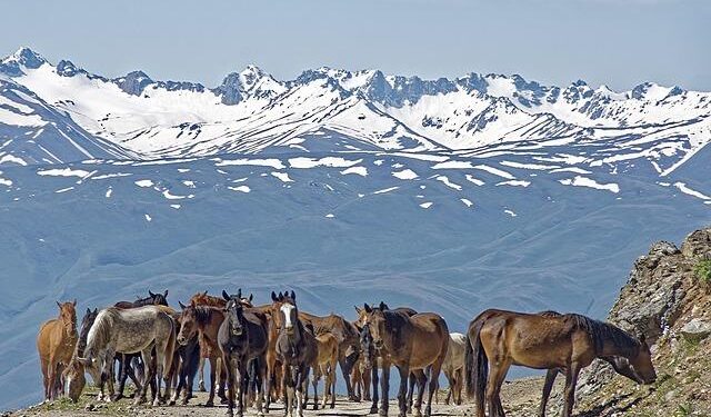 Free societies are good for business says UN rights chief, wrapping up visit to Kyrgyzstan – UN News