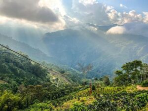 Marcos eyes stronger ties with Colombia, Cambodia and Ukraine – manilastandard.net