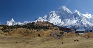Nepal’s Hunt for Oil: Energy Sovereignty or Risky Gamble? – Foreign Policy In Focus