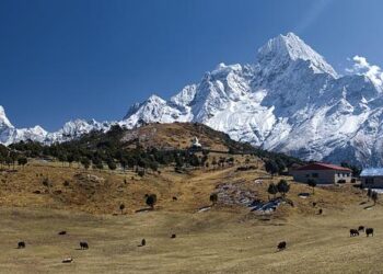 Living in Shadows: Navigating the Realities of Sex Work in Nepal – The Diplomat