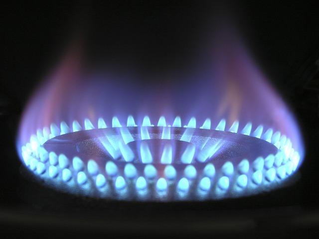 Future Prospects for Domestic and Export Gas Markets